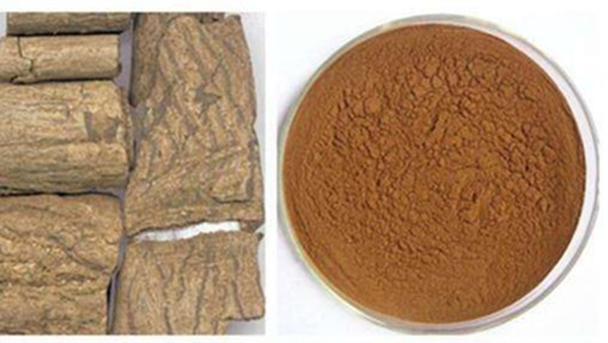 水溶性杜仲粉杜仲提取物