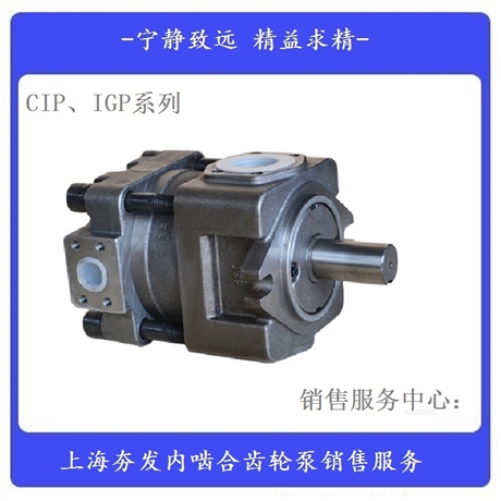 夯发内啮合齿轮泵IGP4-M020F供应