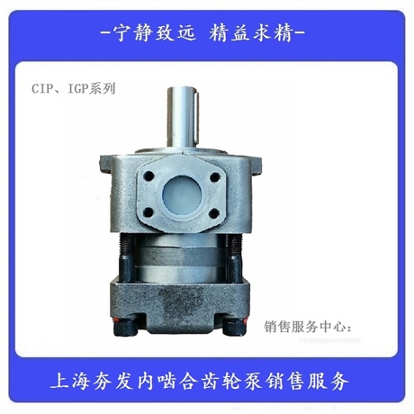夯发内啮合齿轮泵IGP5-M040F