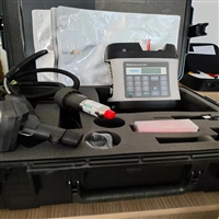 有毒挥发气体分析仪 赛默飞TVA2020 双检  