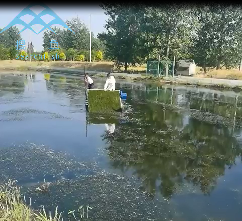 虾蟹塘割草机001