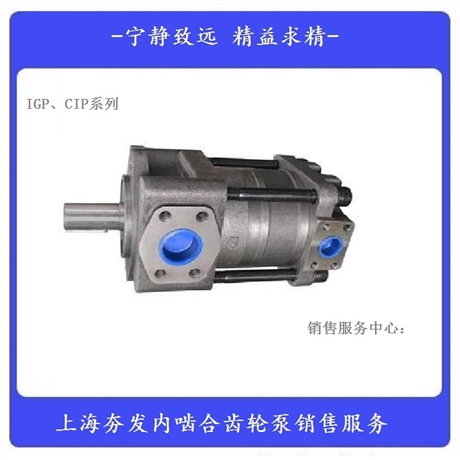 夯发直线共轭齿轮泵 IGP5-H050F
