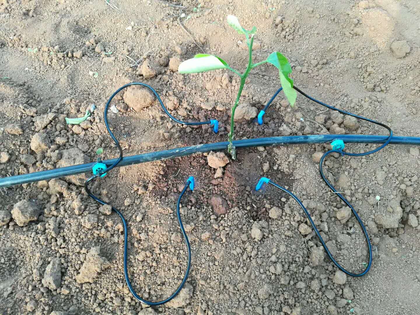 滴灌滴头压力补偿滴头圆柱滴头贴片滴头4升压力补偿滴头