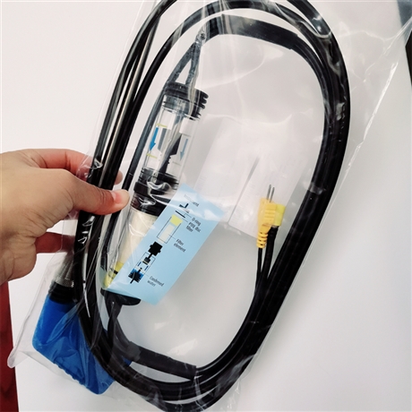 E30X和M60烟气取样管 德国菲索烟气取样管 500267+500190烟气探针