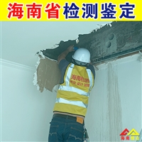 儋州市楼房楼板开裂检测 房屋厂房过火结构安全检测 仪器齐