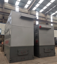 360万大卡生物质导热油炉  360万大卡燃煤导热油炉  360万大卡生物质导热油锅炉