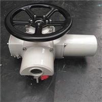 瑞浦DZW20 DZW20/30-18电动执行器  Z20/30-24W阀门电动装置 DZW30
