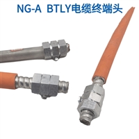 深圳矿物电缆终端头 防火电缆头YTTW电缆