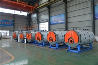 0.7吨燃气蒸汽锅炉 WNS0.7-1.0Y(Q) 远大天然气蒸汽发生器参数