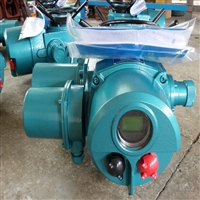 DZW180阀门电动装置DZW120电动执行器DZW90瑞浦DZW60电动装置