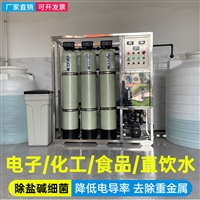 工业反渗透水处理设备大型商用RO超纯水机净水机器地下井水过滤器