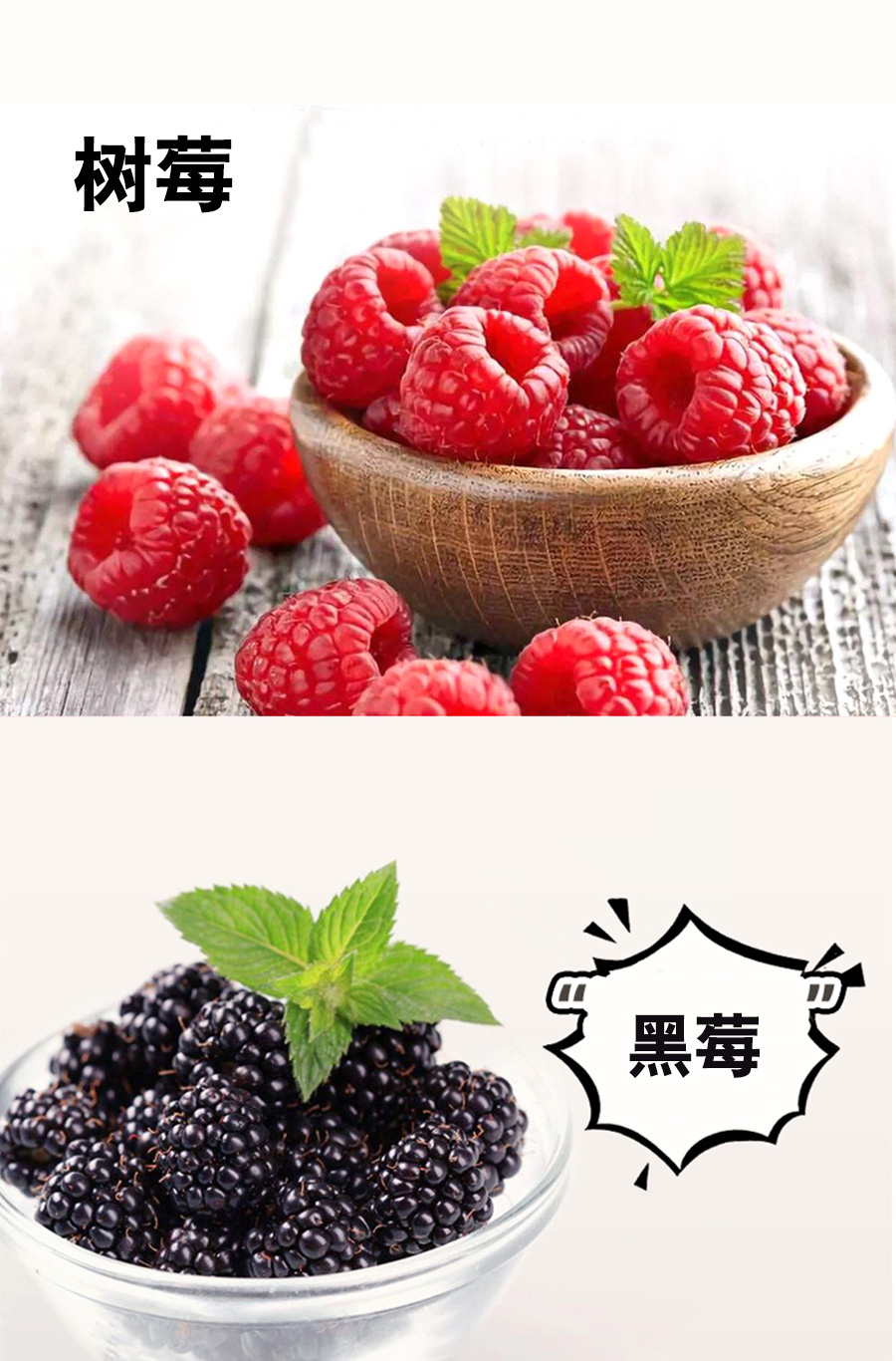 百未草蓝莓黑莓树莓复合饮品批发 多规格异袋装植物饮料加工 山东