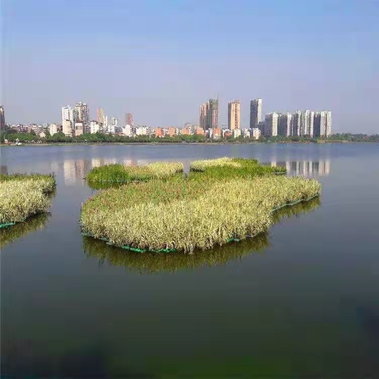 生態浮島 是一種針對富營養化的水質,利用生態工學原理,降解水中的cod