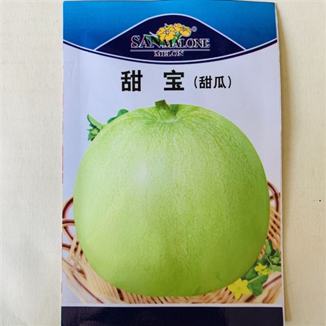 密云县西葫芦种子哪里有卖