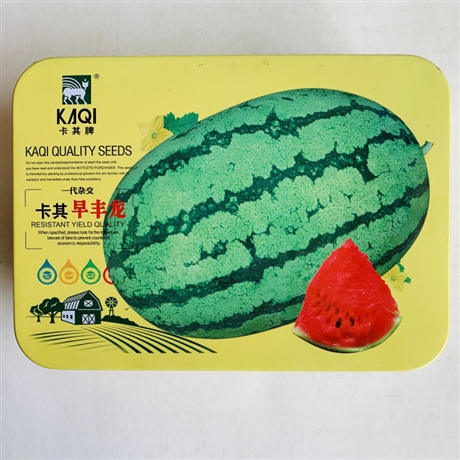 云南昭通芹菜種子市場(chǎng)