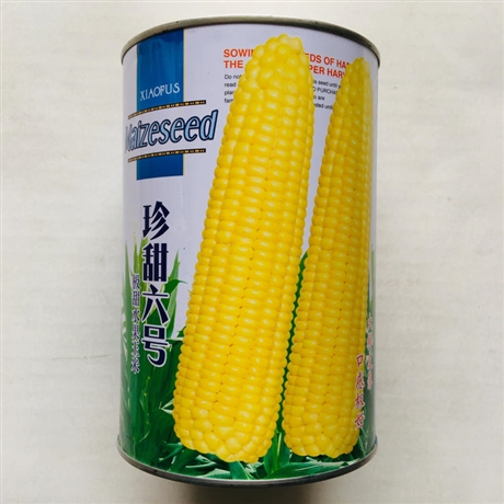 红河大葱种子公司