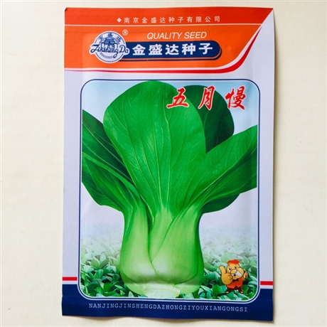 陇南芫荽种子出售