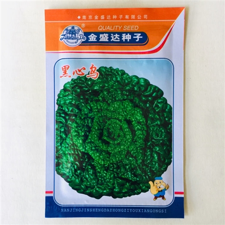 黑龍江伊春水果蘿卜種子銷售