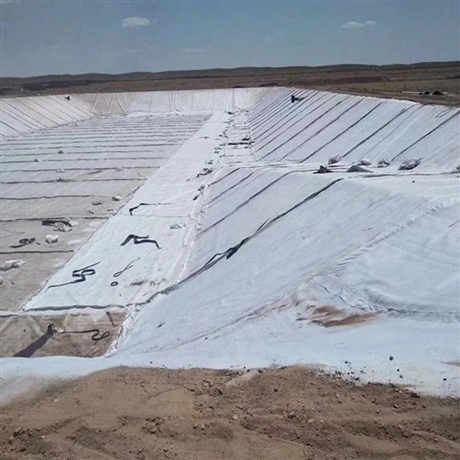 德州膨润土防水毯gcl天然钠基防水垫8000g鼎诺批发供应