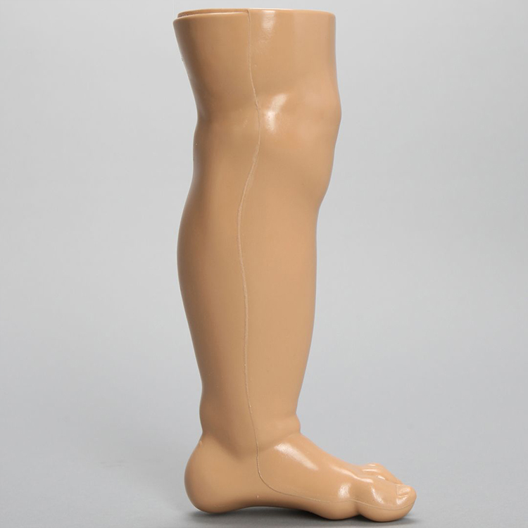 SAWBONES 儿科脚部解剖模型1518-12-1 解剖教学模型 美国原厂授权