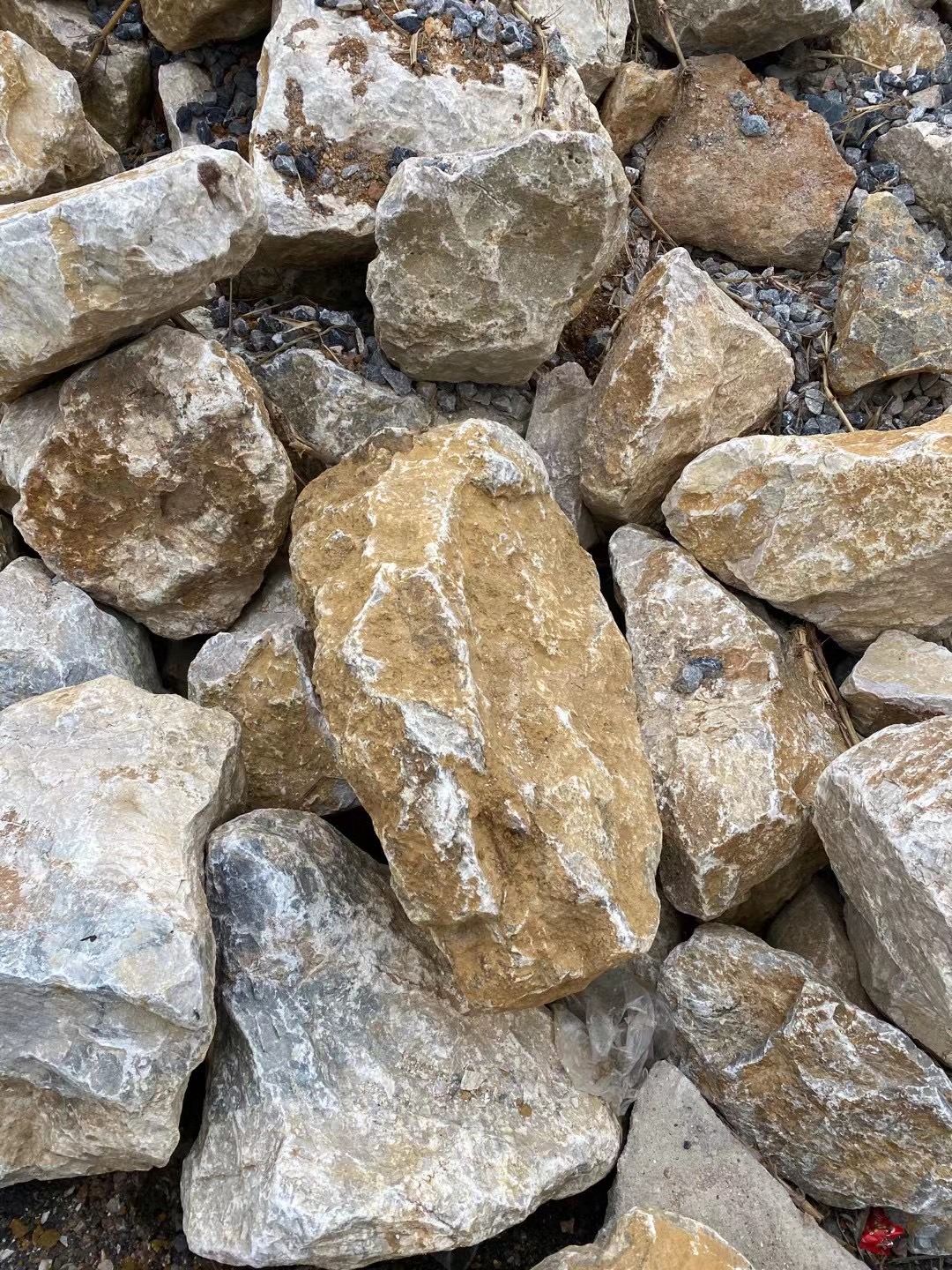 天然石头角石园林风化石庭院点缀石景观