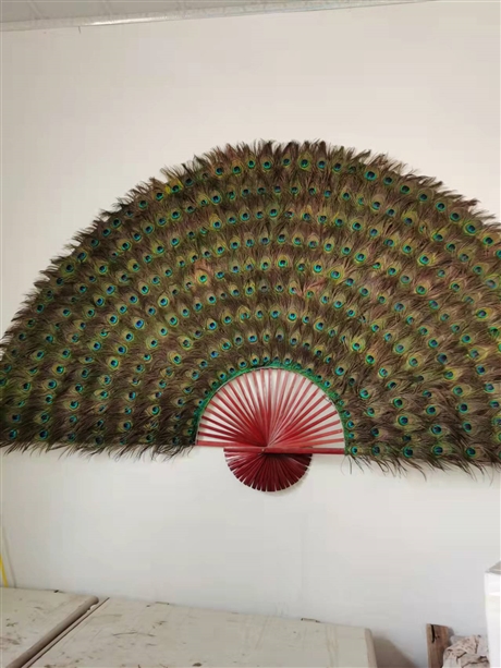 西城區(qū)藍孔雀標本價格孔雀標本落地擺件五年孔雀羽毛制作孔雀標本孔雀標本寓意吉祥