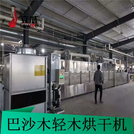 湖南微波設(shè)備廠家  輕木烘干機