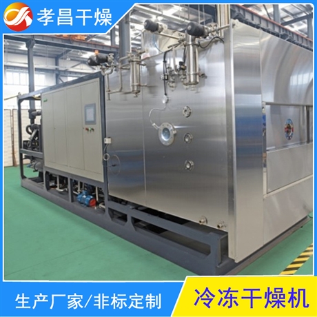 真空冷冻干燥机 10平方低温草霉果蔬冻干设备 对流式加热