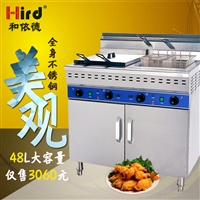 hird柜式HEF-482-C双缸电炸锅油炸炉油炸香蕉西厨设备小吃设备