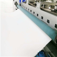 湖南丰鑫源PPS滤袋ptfe针刺毡除尘滤袋 pps滤袋和氟美斯滤袋