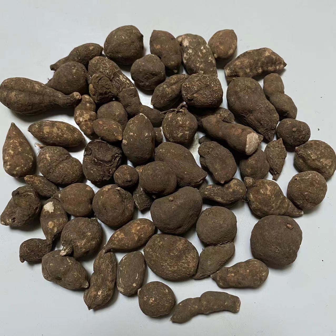 安徽亳州市谯城区建安路康美华佗国际中药城期待你的来电搜了网提醒您