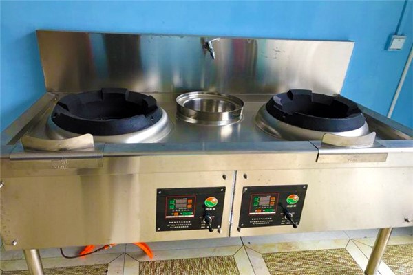 虽然中国是一个能源大国,但由于严重的空气污染和大量的能源开采,许多