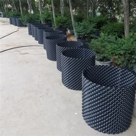 中山控根器销售厂家控根快速育苗容器防根腐病