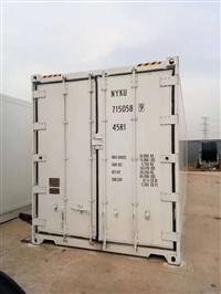 海运低温冷藏运输  冷冻集装箱  冷链运输 密封保温