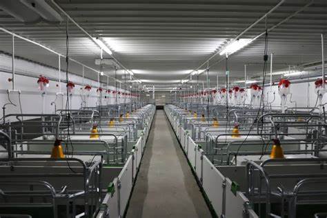 养猪场自动化饲喂料线料塔