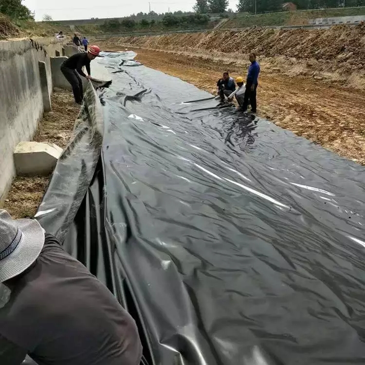 人造池塘防渗膜 地铁隧道白色EVA防渗膜 厌氧池防渗处理HDPE黑膜