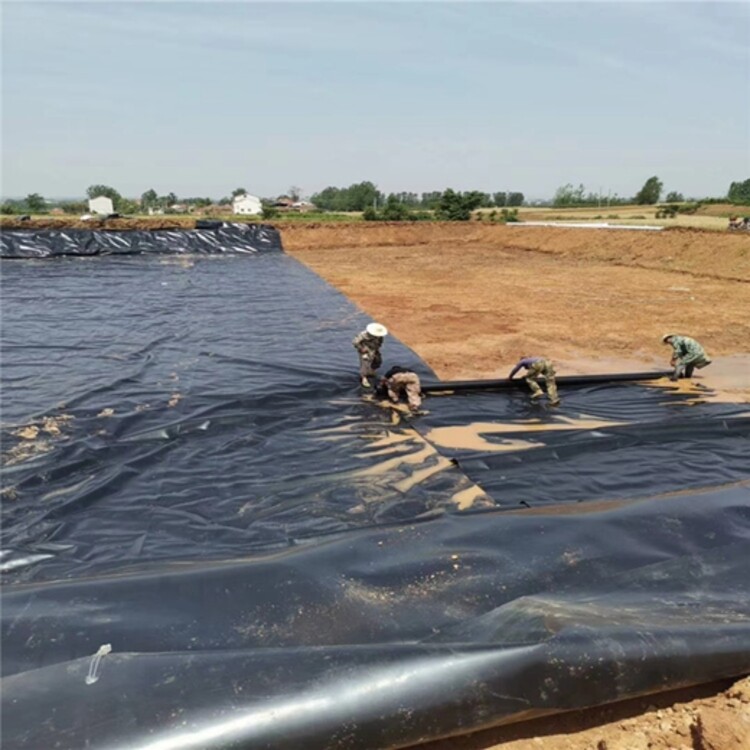 废液池做防渗漏HDPE土工膜 鱼池防渗护边膜 水产养殖防渗黑膜