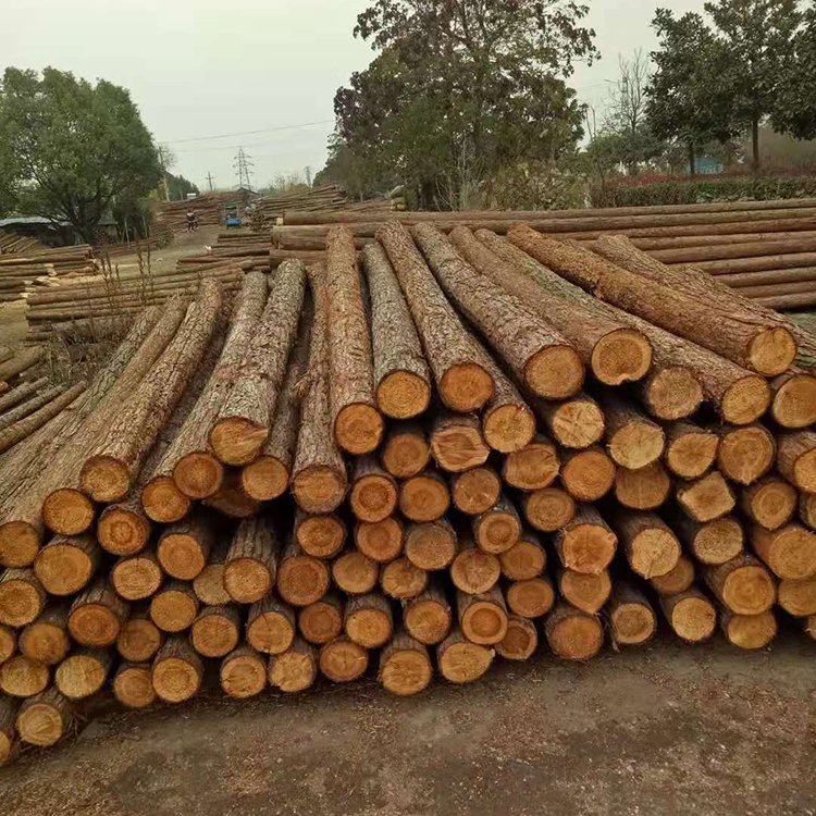 湖北伟晨木材杉木杆杉木原木杉木桩绿化杆多种规格可供选择林场直发