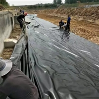 人造池塘防渗膜 地铁隧道白色EVA防渗膜 厌氧池防渗处理HDPE黑膜