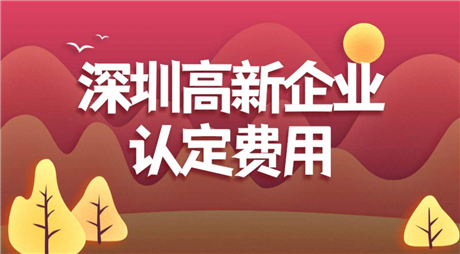 深圳高新技术企业认定  软件产品测试提升企业竞争力