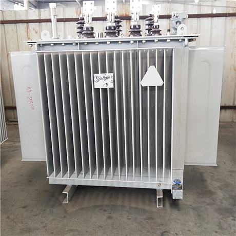 油浸式电力变压器 变压器 可装于室内外实验变压器