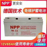 NPP蓄电池厂供应12V65AH NPG12-65 耐普太阳能电池 12V100AH UPS电源