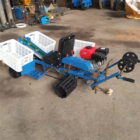 大姜种植机农用新型种姜机自走式种植机厂家