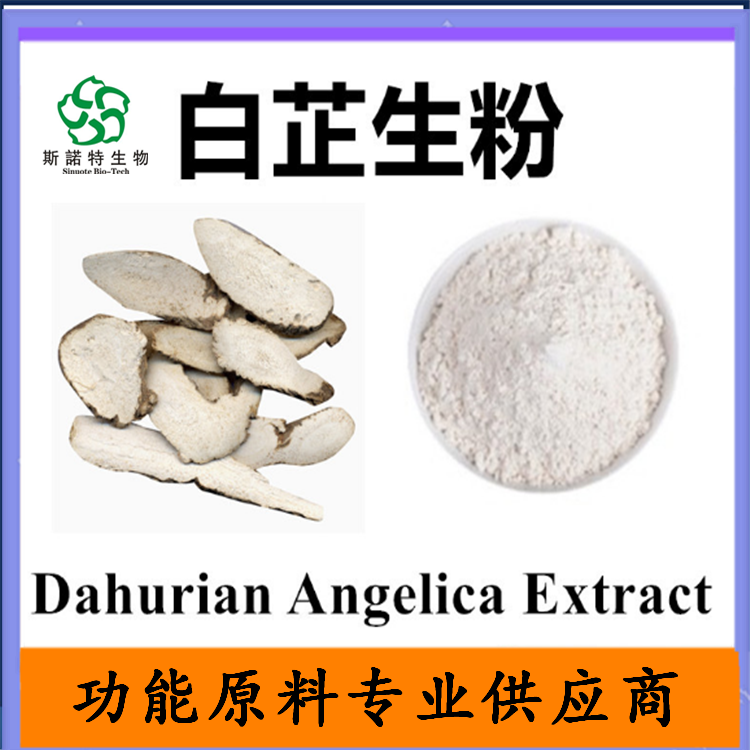 白芷生粉  白芷浓缩粉80目100目水溶  可定制 喷雾干燥粉