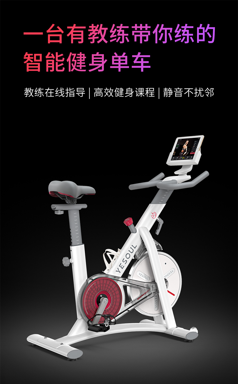 yesoul野小兽动感单车家用运动健身房器材室内磁控健身车超静音s1