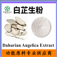 白芷生粉  白芷浓缩粉80目100目水溶  可定制 喷雾干燥粉