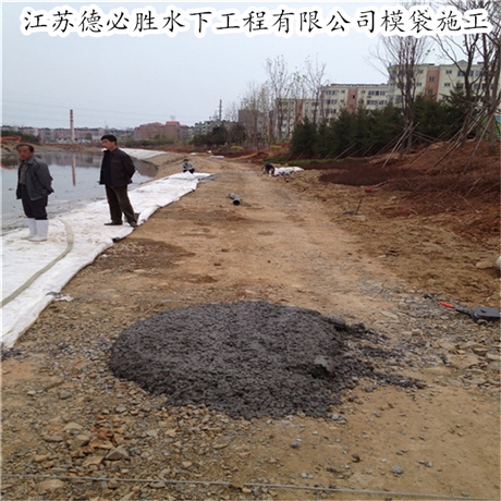 新闻：咸宁市植被模袋混凝土护坡工程（2022更努力）