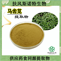 斯诺特食品级马齿苋提取物 水溶   速溶粉  可定制