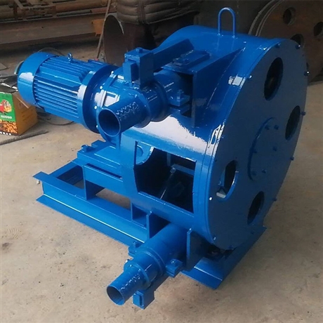 精恒挤压式ylrg50型蠕动泵大流量软管泵防赌塞液体输送泵