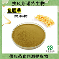 鱼腥草提取物 10:1水溶粉 易溶解 无杂质 质量好    水溶